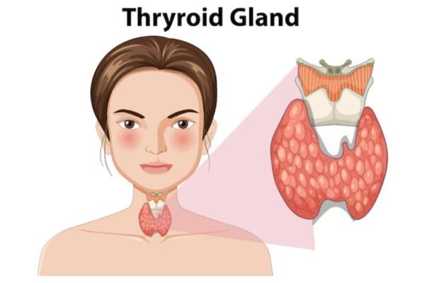 Thyroid